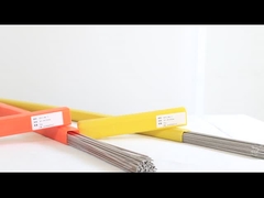 곧은 세부 사항